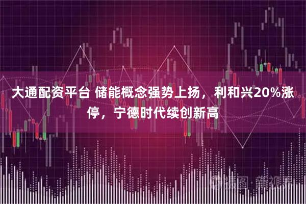 大通配资平台 储能概念强势上扬，利和兴20%涨停，宁德时代续创新高
