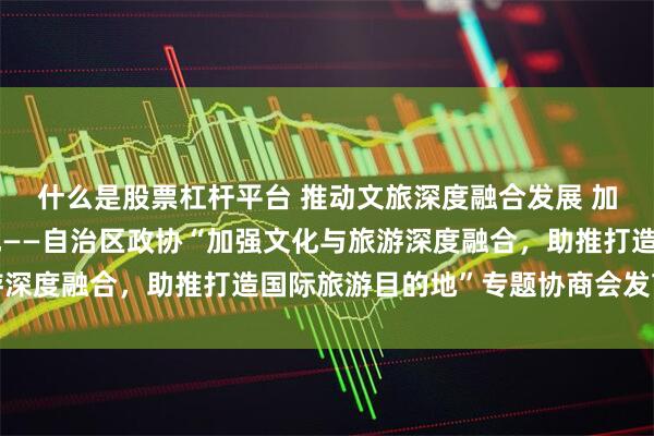 什么是股票杠杆平台 推动文旅深度融合发展 加快打造国际旅游目的地——自治区政协“加强文化与旅游深度融合，助推打造国际旅游目的地”专题协商会发言集萃
