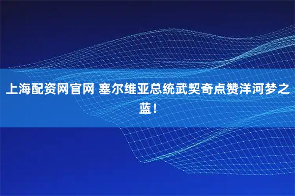 上海配资网官网 塞尔维亚总统武契奇点赞洋河梦之蓝！